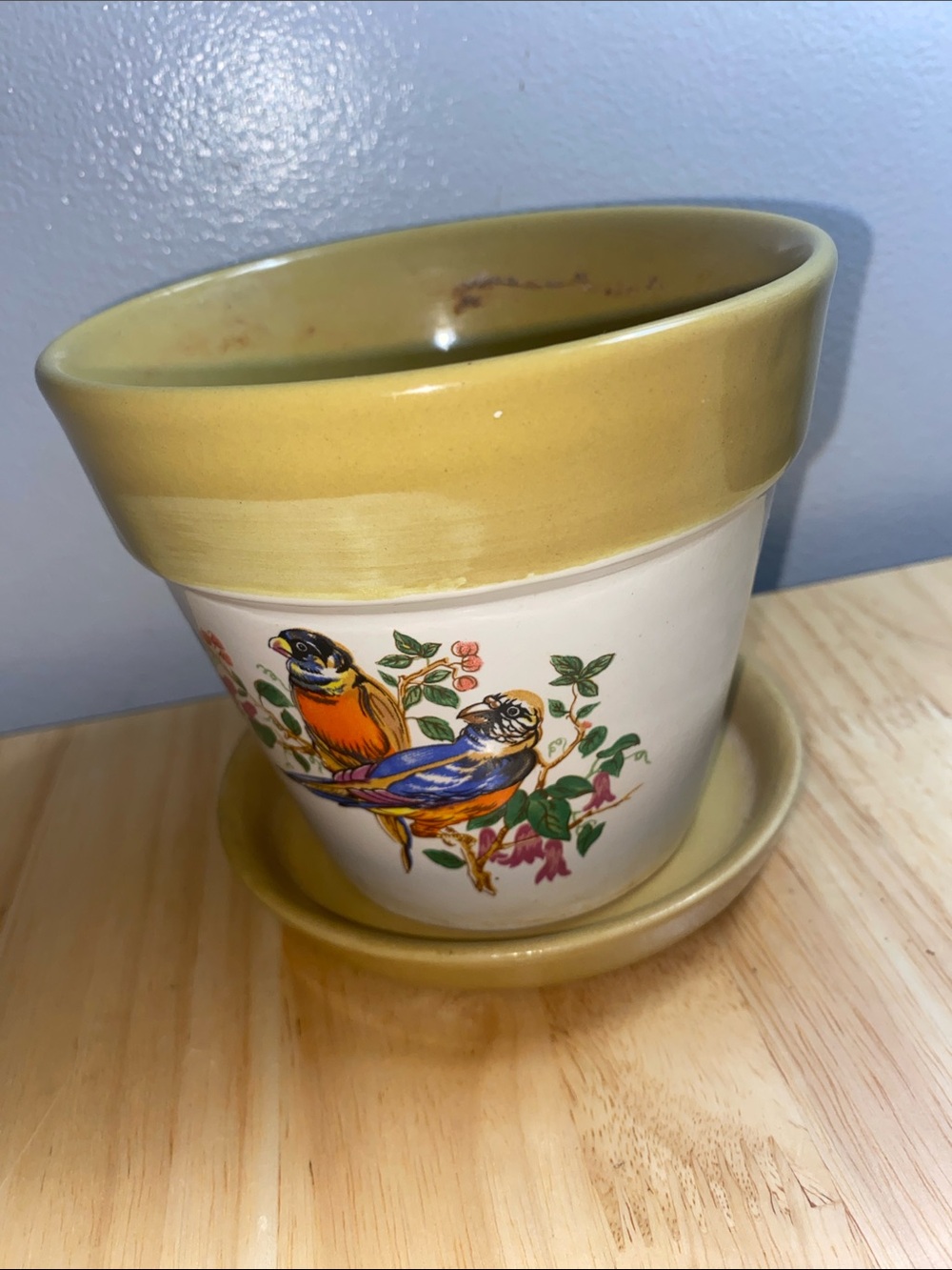 VTG Stoneware Flower Pot with Bird Motif - Yellow Trim, made in Korea